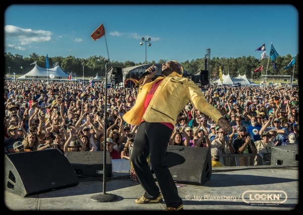 lockn-cliff2